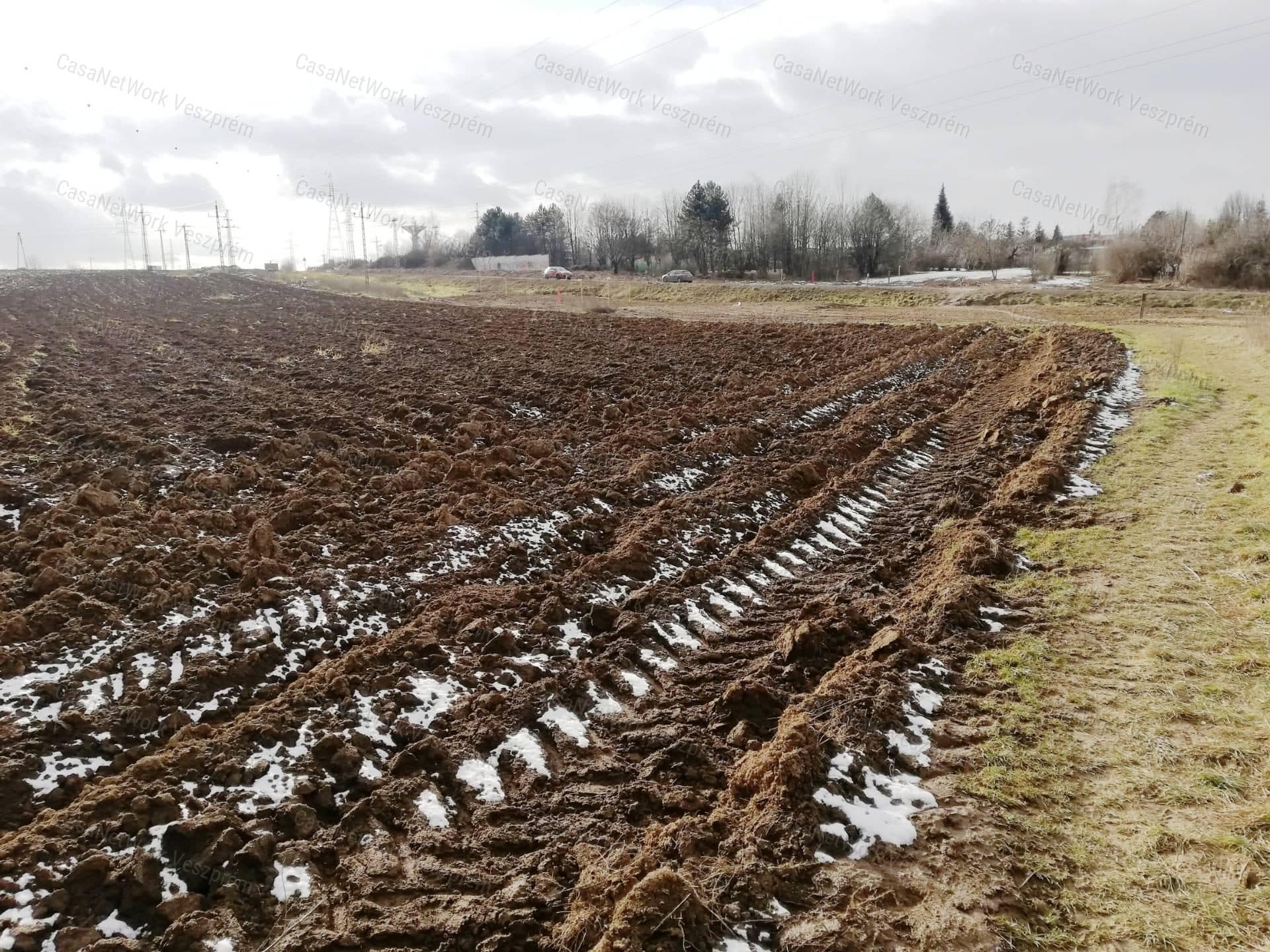 Bebauungsgebiet-Acker zum Verkauf in Veszprém