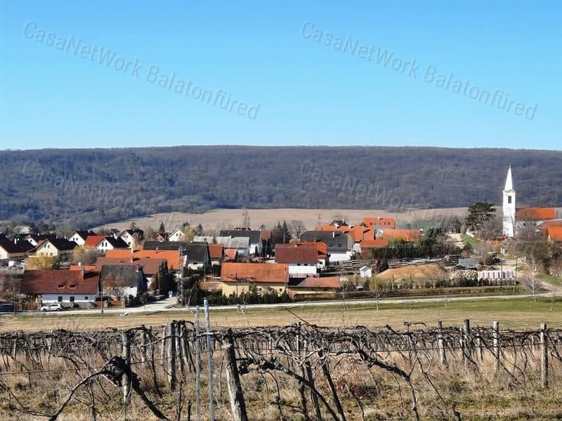 PANORAMAUSSTATTUNG - Weinbergareal zum Verkauf in Szentantalfa