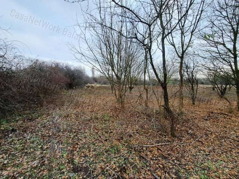 Landwirtschaftliche Fläche am Balaton in Balatonakali