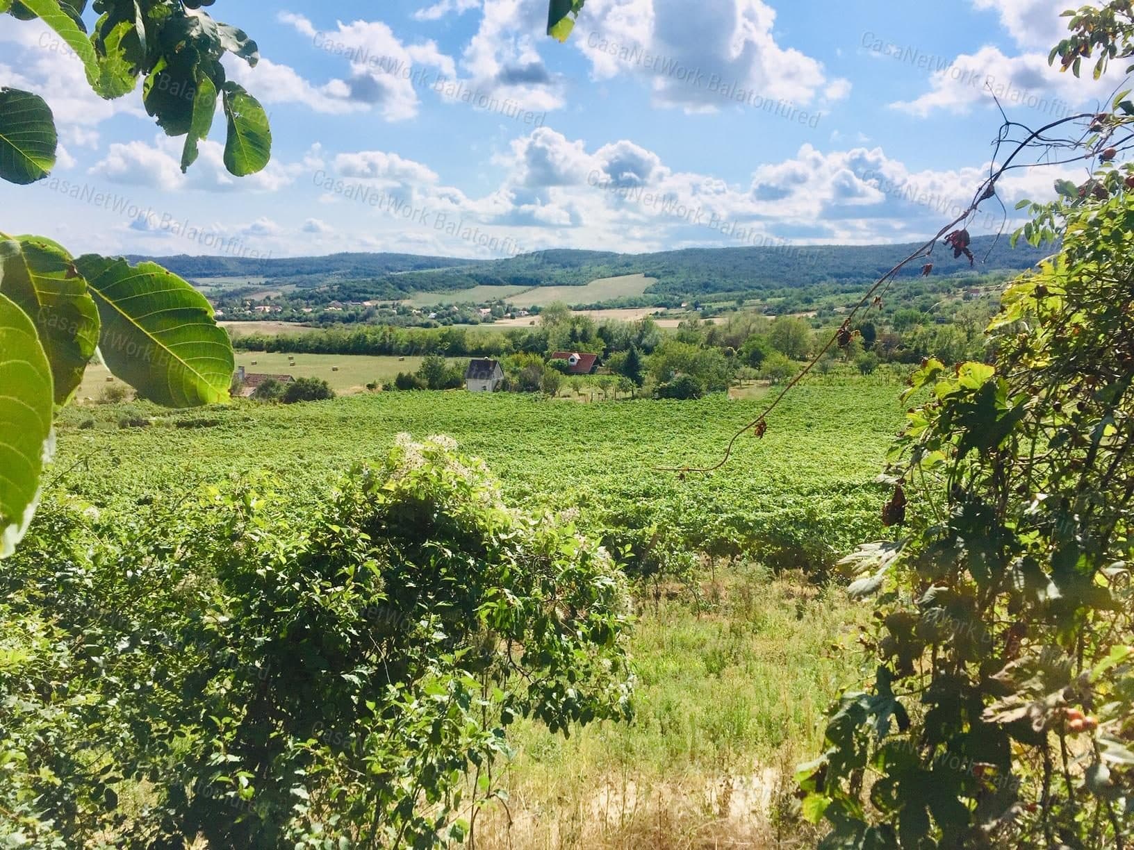 Weinberg mit Panoramablick in Pécsely, teilerschlossen