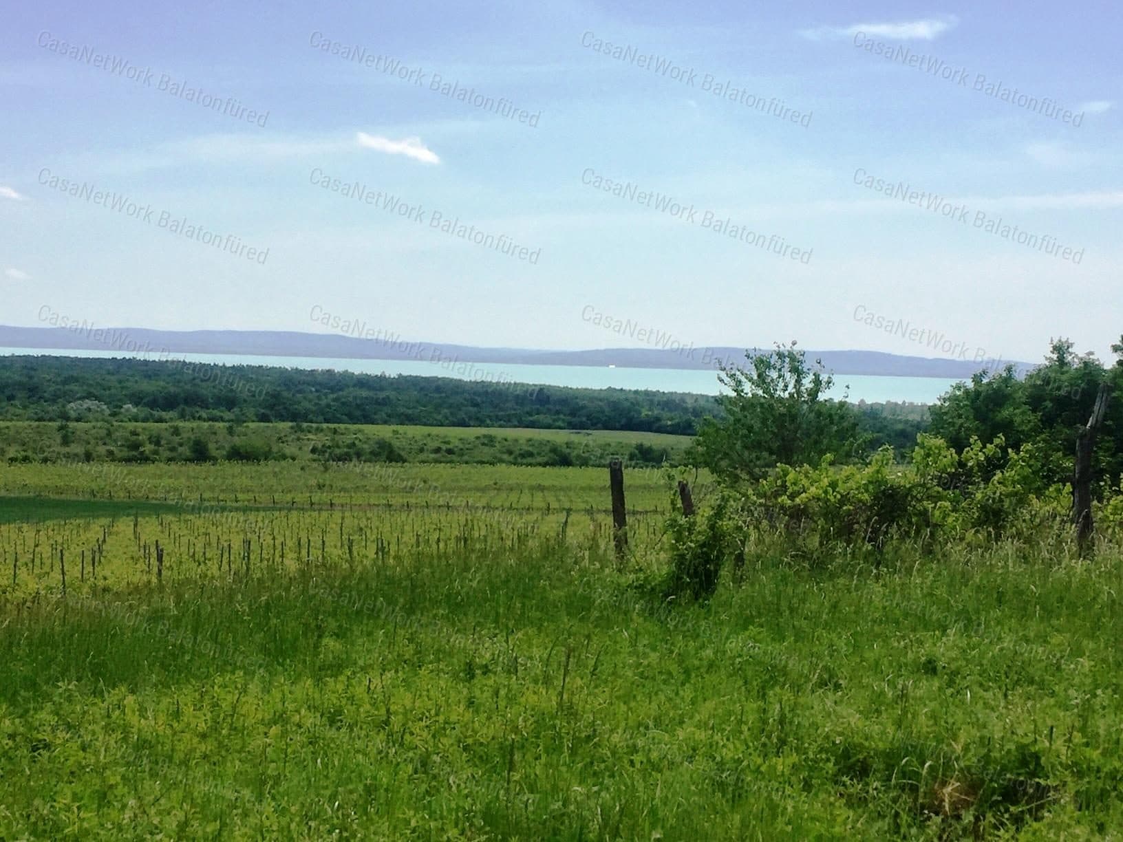 Weinberg mit Teilpanoramablick auf den Balaton in Dörgicse