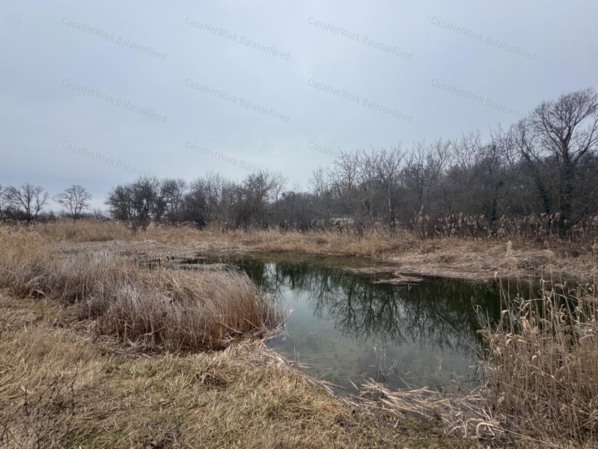 Großes Waldgrundstück in isolierter Lage bei Balatonfüred – 4 Hektar mit Möglichkeit zur Teichanlage
