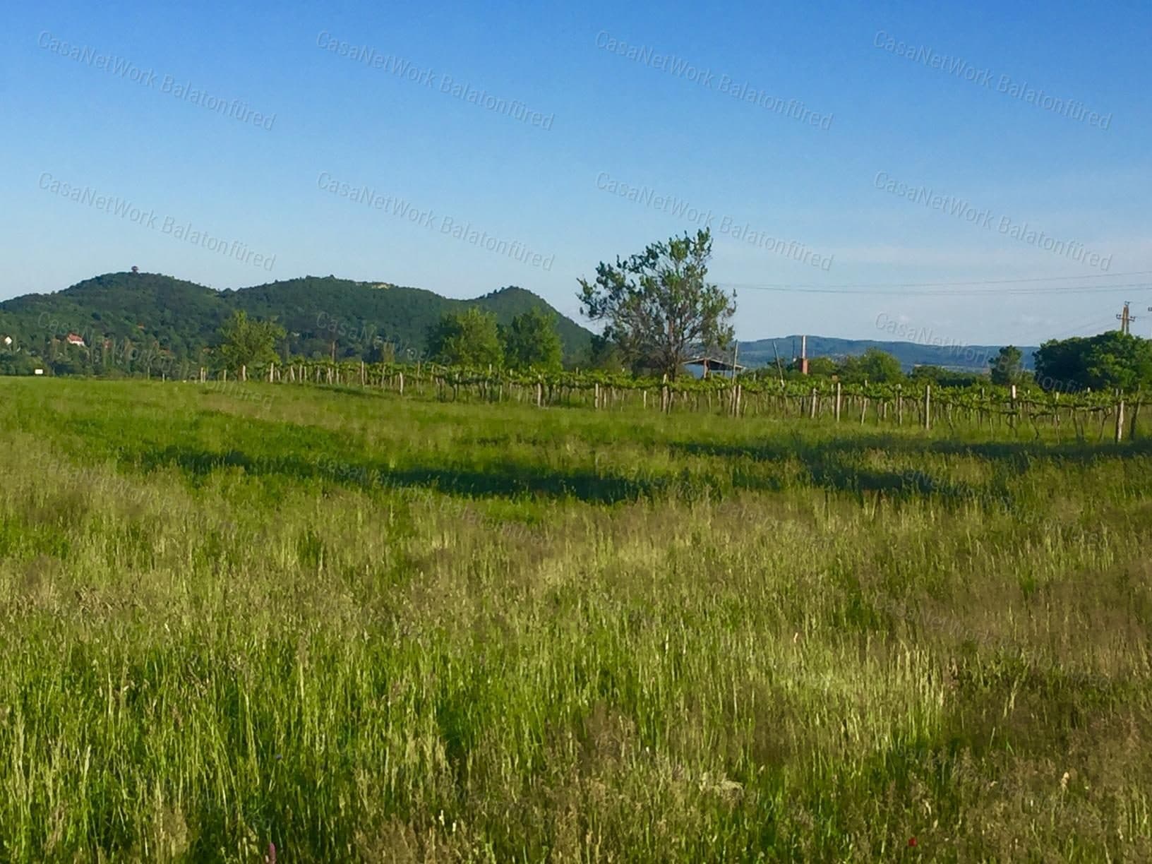Panoramafläche in Aszófő