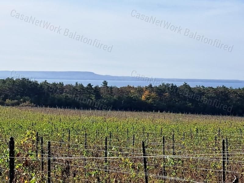 Bauland – Landwirtschaftsfläche in Balatonakali